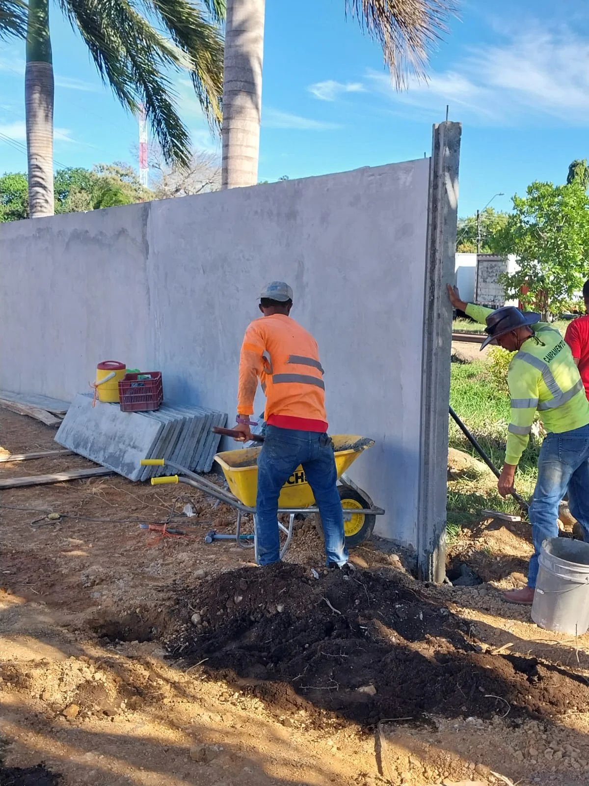 Cuadrilla con escalera instalando muro perimetral junto a vivienda con palmeras y luz natural