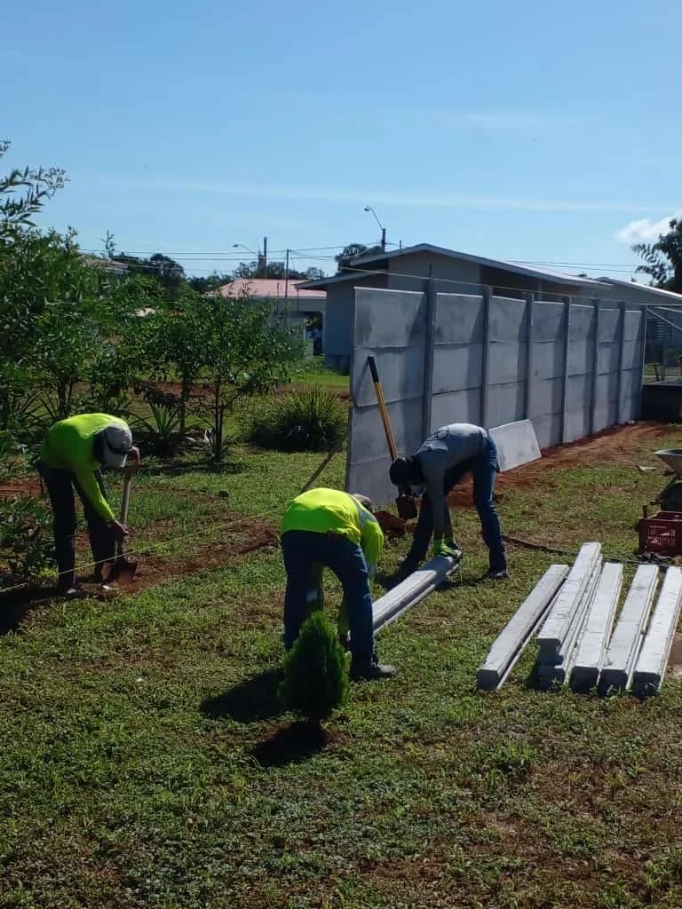 Cuadrilla con chalecos reflectivos instalando muro perimetral en lote con vegetación tropical